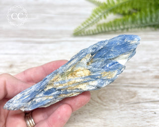Blue Kyanite Crystal #3