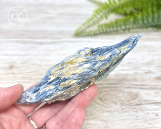 Blue Kyanite Crystal #3