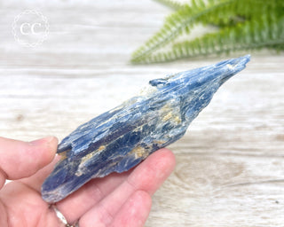 Blue Kyanite Crystal #3