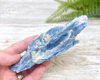Blue Kyanite Crystal #3