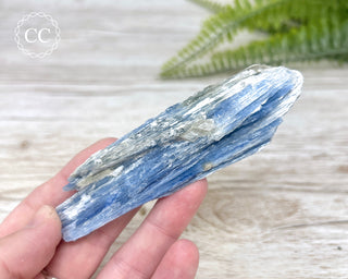 Blue Kyanite Crystal #4