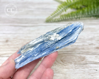 Blue Kyanite Crystal #4