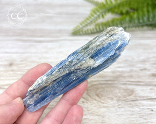 Blue Kyanite Crystal #4