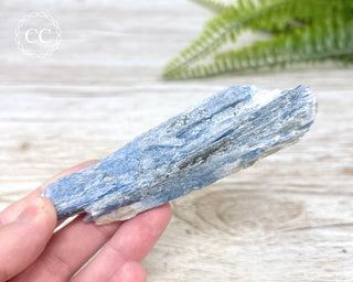 Blue Kyanite Crystal #4