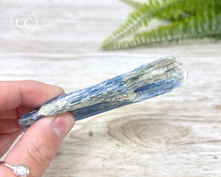 Blue Kyanite Crystal #4