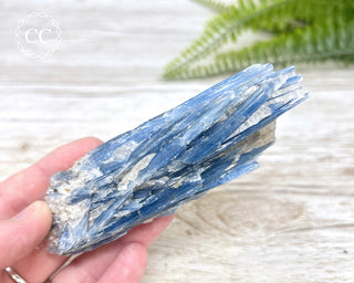 Blue Kyanite Crystal #5