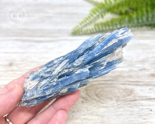 Blue Kyanite Crystal #5