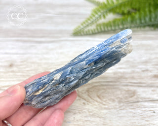 Blue Kyanite Crystal #5