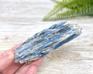Blue Kyanite Crystal #5