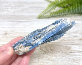 Blue Kyanite Crystal #5
