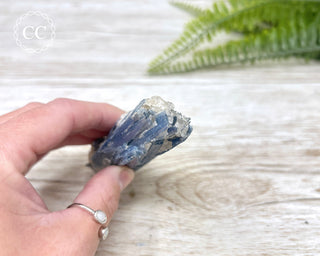 Blue Kyanite Crystal #5