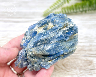 Blue Kyanite Crystal #6