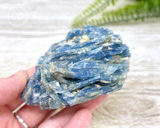 Blue Kyanite Crystal #6