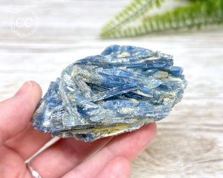 Blue Kyanite Crystal #6