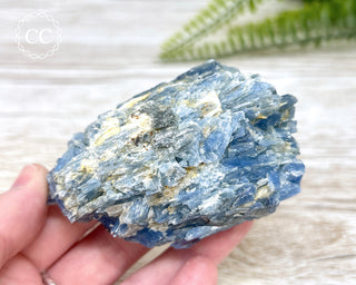 Blue Kyanite Crystal #6