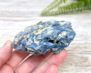 Blue Kyanite Crystal #6
