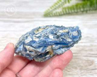 Blue Kyanite Crystal #6