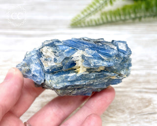 Blue Kyanite Crystal #6