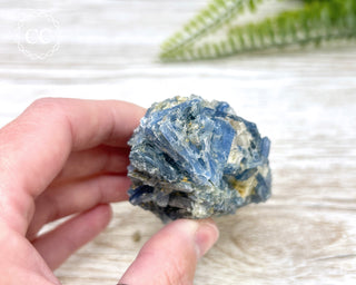 Blue Kyanite Crystal #6