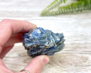 Blue Kyanite Crystal #6