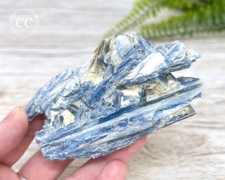 Blue Kyanite Crystal #7