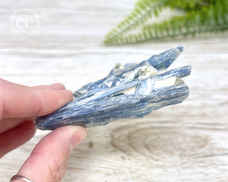 Blue Kyanite Crystal #7