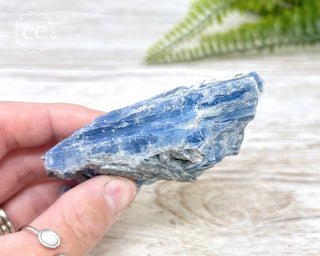 Blue Kyanite Crystal #7