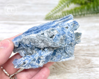 Blue Kyanite Crystal #7