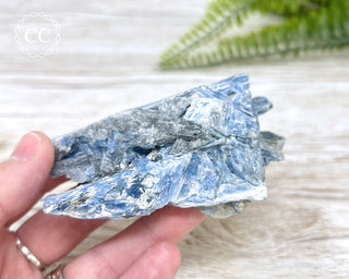 Blue Kyanite Crystal #7
