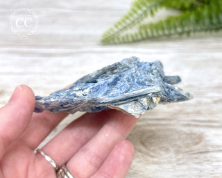 Blue Kyanite Crystal #7