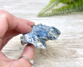 Blue Kyanite Crystal #7