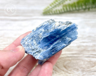 Blue Kyanite Crystal #8