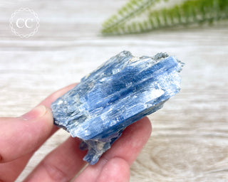 Blue Kyanite Crystal #8