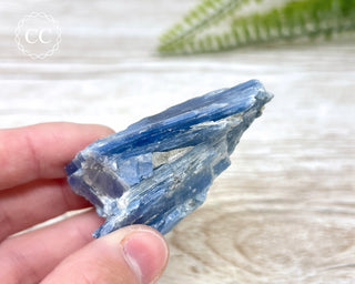 Blue Kyanite Crystal #8