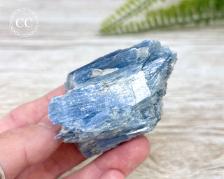 Blue Kyanite Crystal #8