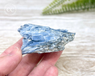 Blue Kyanite Crystal #8