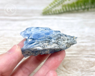 Blue Kyanite Crystal #8