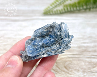 Blue Kyanite Crystal #9