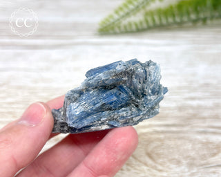 Blue Kyanite Crystal #9