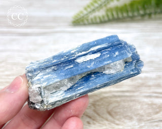 Blue Kyanite Crystal #10
