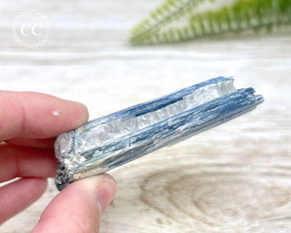 Blue Kyanite Crystal #10
