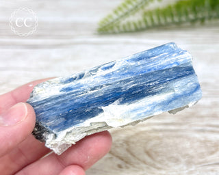 Blue Kyanite Crystal #10