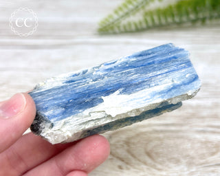 Blue Kyanite Crystal #10