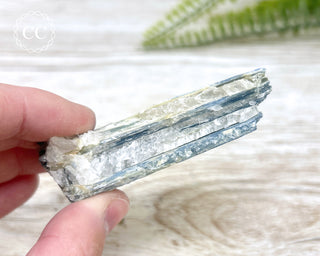 Blue Kyanite Crystal #10