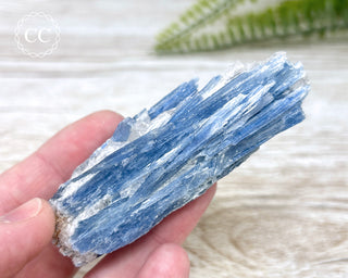Blue Kyanite Crystal #11