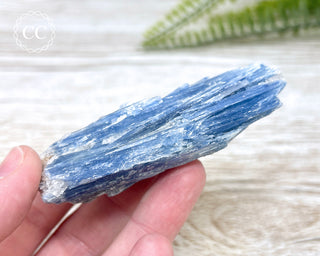 Blue Kyanite Crystal #11