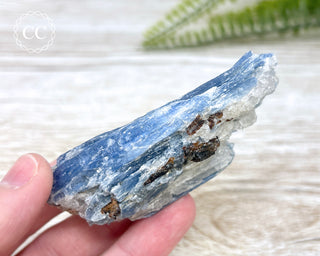 Blue Kyanite Crystal #11