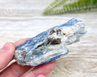 Blue Kyanite Crystal #11