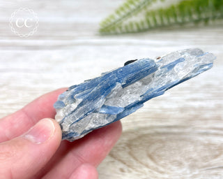 Blue Kyanite Crystal #11