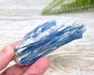 Blue Kyanite Crystal #11